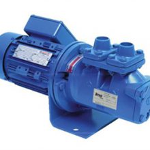 德國RIFOX凝結(jié)水泵