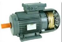 意大利GAMAR三相電機