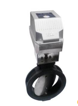 供應(yīng)意大利ESA閥門